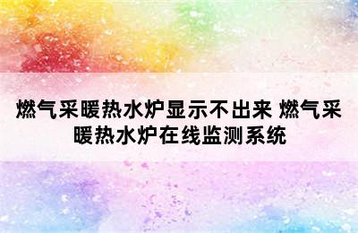 燃气采暖热水炉显示不出来 燃气采暖热水炉在线监测系统